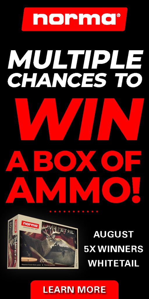 Norma Ammo Newsletter Draw 2024 Widget 08 August